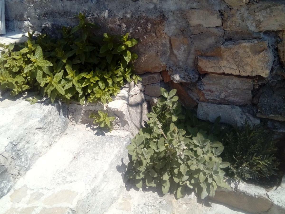 Ferienhaus Ana Split